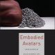 Embodied Avatars