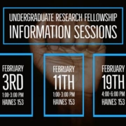 Research Fellowship Flyer